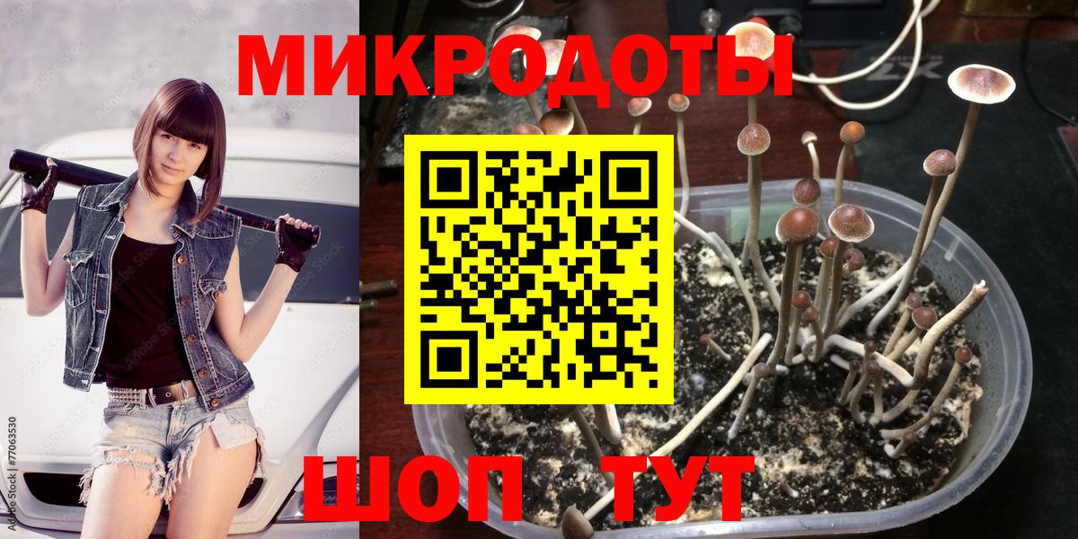 Псилоцибиновые грибы MAGIC MUSHROOMS Россия