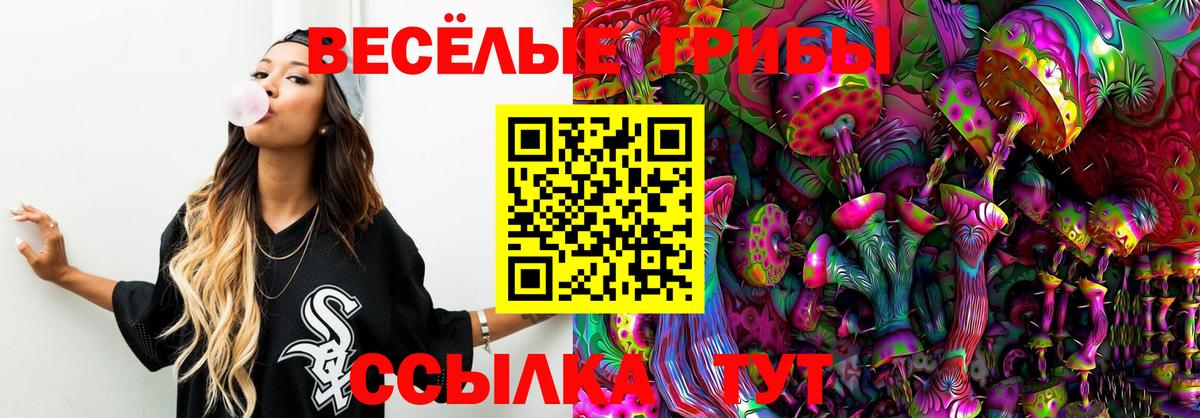 Галлюциногенные грибы Psilocybine cubensis  купить наркоту  Россия  Вход с VPN 